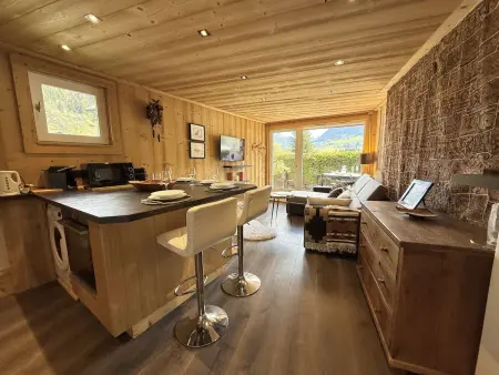 Studio Cabine à Praz-sur-Arly, 4 pers, proche pistes et village, parking et extérieur privé - Photo 6