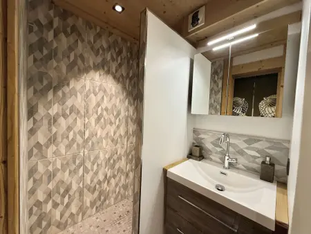 Studio Cabine à Praz-sur-Arly, 4 pers, proche pistes et village, parking et extérieur privé - Photo 13