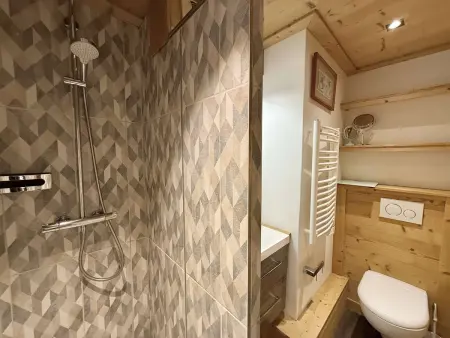 Studio Cabine à Praz-sur-Arly, 4 pers, proche pistes et village, parking et extérieur privé - Photo 14