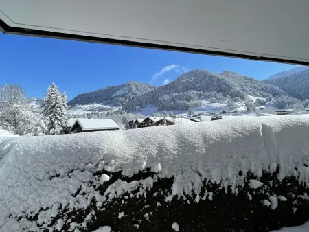 Studio Cabine à Praz-sur-Arly, 4 pers, proche pistes et village, parking et extérieur privé - Photo 17