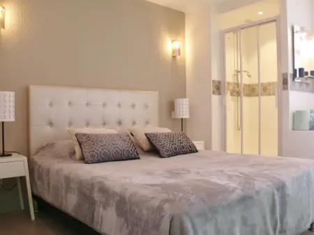 Studio climatisé pour 2 avec piscine, terrasse et parking à Agde - Photo 4