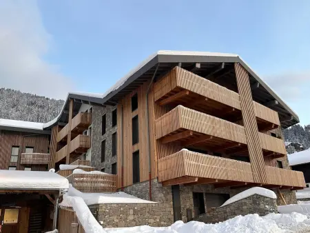 Appartement de standing, au pied des pistes avec parking et WIFI, Les Carroz d'Arâches - Photo 14