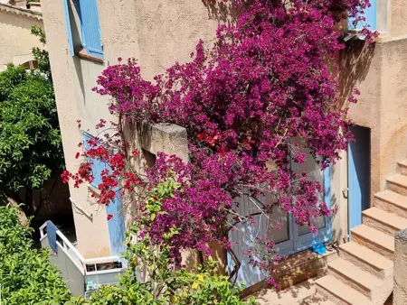 Appartement Hyères : 2 pièces, jardin privé, proche plage et port, WIFI, parking - Photo 1