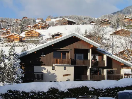 Studio cosy avec balcon, 2 nuits - La Clusaz, proche Bossonnet et pistes, parking inclus - Photo 11