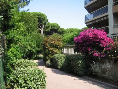 Appartement 2 pièces à Hyères : Port, grande terrasse 62m², proche plages, 4 pers., Wifi, commerces - Photo 9