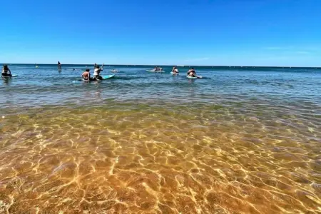 Résidence Valentin Plage 1, Appartement Côte Sauvage près de La Baule - Photo 19