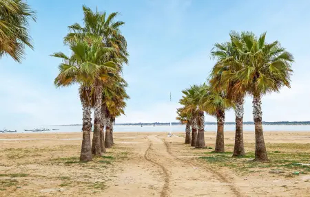 Appartement 4 personnes à Sanlúcar de Barrameda - Photo 24