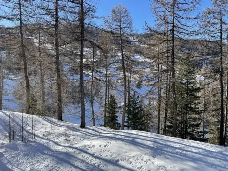 Studio calme 4 pers, Risoul 1850, proche centre, casier à ski - Photo 8