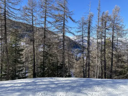 Studio calme 4 pers, Risoul 1850, proche centre, casier à ski - Photo 17