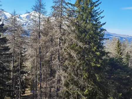 Duplex pour 12 personnes avec parkings, proche des pistes - La Joue du Loup - Photo 4