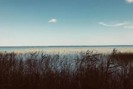 Résidence Le Petit Pont 2, Séjour au bord du lac avec terrasse - Photo 29