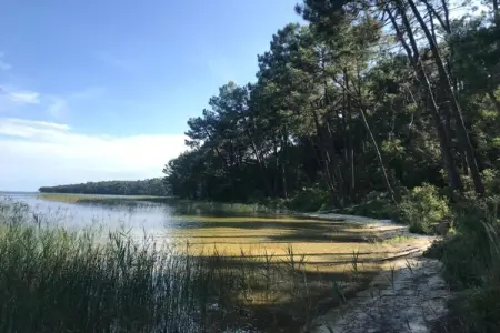 Résidence Le Petit Pont 4, Maisonette au bord du lac Hourtin-Carcans - Photo 17