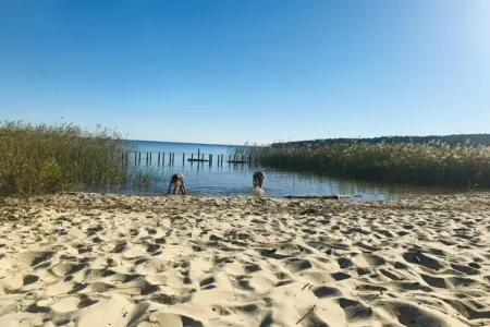 Résidence Le Petit Pont 4, Maisonette au bord du lac Hourtin-Carcans - Photo 28