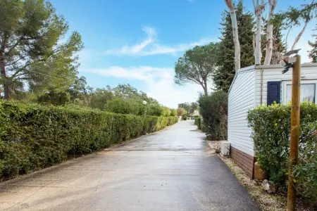 Mobilhome Valrose, Mobil-home à Var près de Miramar - Photo 7