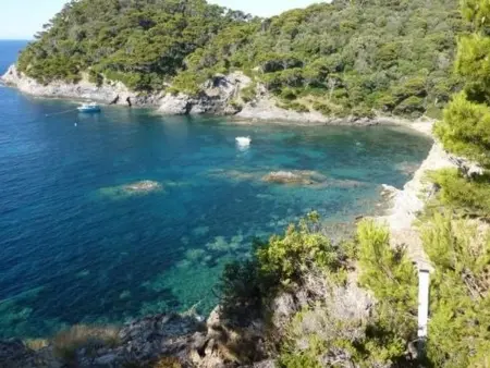 Charmant T2 à Giens avec grande terrasse, piscine et à proximité des plages - Photo 7