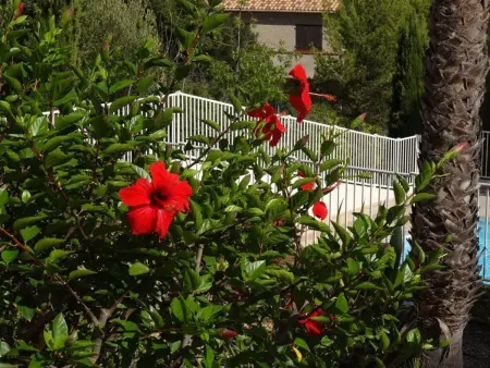 Charmant T2 à Giens avec grande terrasse, piscine et à proximité des plages - Photo 8