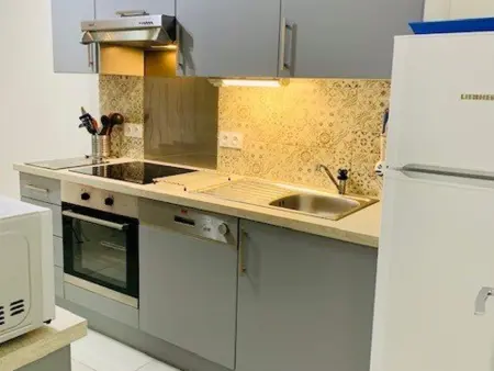 Appart T3 rénové avec climatisation, terrasse, wifi, ascenseur et parking à 2 min des thermes - Photo 2