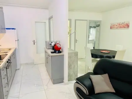 Appart T3 rénové avec climatisation, terrasse, wifi, ascenseur et parking à 2 min des thermes - Photo 5