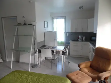 Studio lumineux avec balcon et terrasse, animaux admis, parking sécurisé, proche des thermes - Photo 1