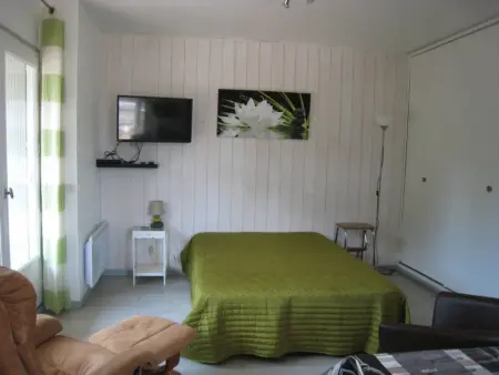 Studio lumineux avec balcon et terrasse, animaux admis, parking sécurisé, proche des thermes - Photo 3