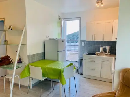 Studio lumineux avec balcon et terrasse, animaux admis, parking sécurisé, proche des thermes - Photo 8