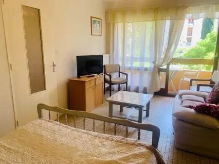 Studio F1 avec balcon, animaux admis, Amélie-les-Bains - Photo 1