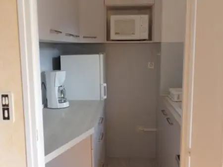 F1 avec loggia, WIFI et garage à Amélie-les-Bains - Photo 3