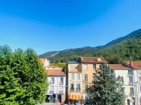 Studio confortable avec climatisation à Amélie-les-Bains, proche des thermes - Photo 9