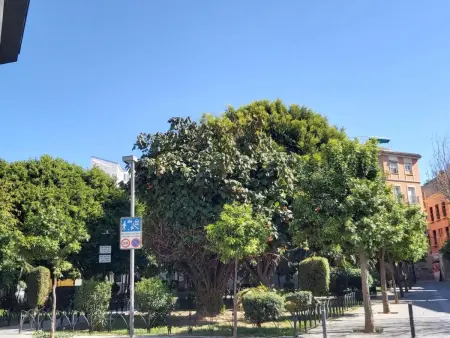 Appartement Urban Life à Malaga : Confort et Proximité du Centre Historique - Photo 12