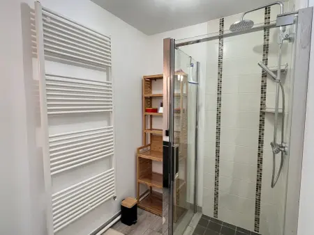 Charmant T2 moderne et lumineux avec climatisation et parking à Aix-les-Bains - Photo 3