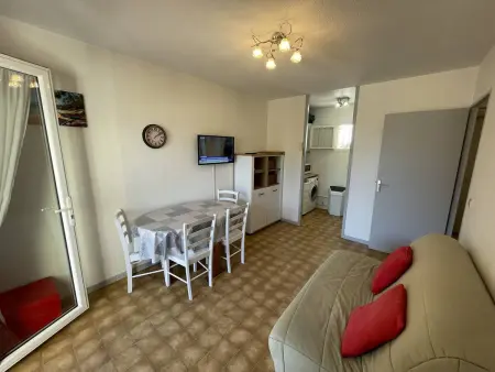 T2 Port St Cyprien Piscine, Clim, Parking, Animaux Ok - Photo 1