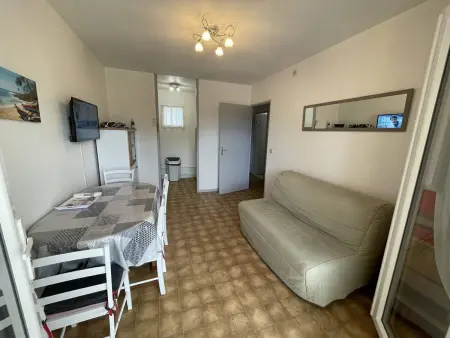 T2 Port St Cyprien Piscine, Clim, Parking, Animaux Ok - Photo 20