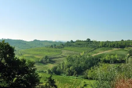 Casanova Dépendance Apt5, Ferme en Chianti avec piscine et jardin - Photo 37