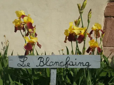 Gîte élégant en pleine nature avec terrasse, départ randonnées, parking privé et équipements inclus - Photo 13