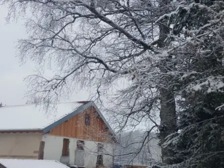 Gîte élégant en pleine nature avec terrasse, départ randonnées, parking privé et équipements inclus - Photo 20