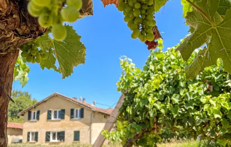 Appartement 4 personnes à Mauléon d'Armagnac - Photo 12