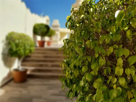 Benalmádena: Appartement 2 chambres avec clim, piscine sur le toit - Photo 1