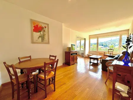 T3 spacieux à Annecy avec balcon vue montagnes, animaux admis - Photo 1
