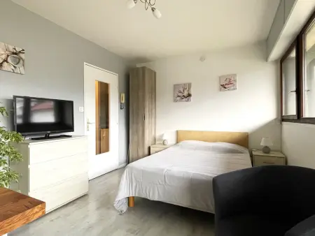 Studio calme avec parking et animaux admis à Aix-les-Bains - Photo 6