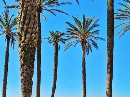 Studio rénové, bien équipé, climatisé avec parking privé, à 200m de la plage et promenade à Roses - Photo 14