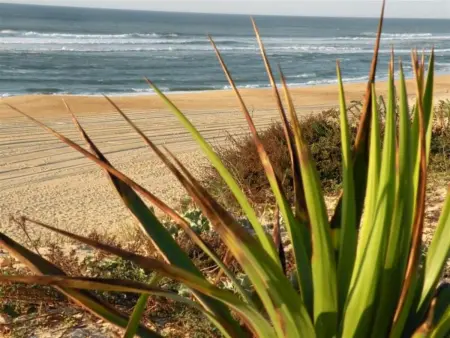 Studio cosy proche océan et commerces, parfait pour des vacances à deux! - Photo 15