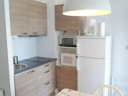 Appartement cosy avec terrasse et animaux admis à Balaruc-les-Bains - Photo 4