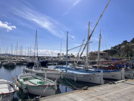Studio/Cabine à 80m de la plage avec Terrasse, Jardinet et Garage - Cavalaire - Photo 13