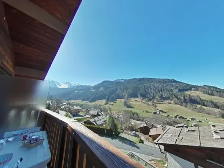 Appartement ensoleillé 3 pièces - 6 pers avec cheminée au Grand Bornand, proche des pistes - Photo 17