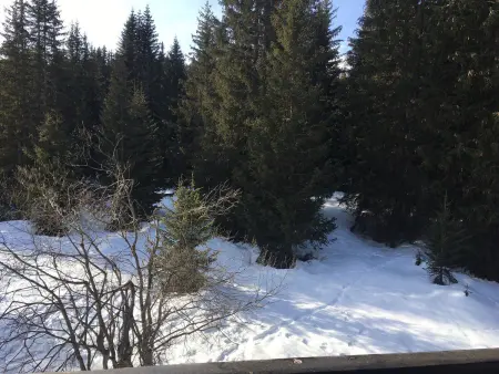 Appartement 3 pièces près des pistes - Courchevel 1850 - Photo 8