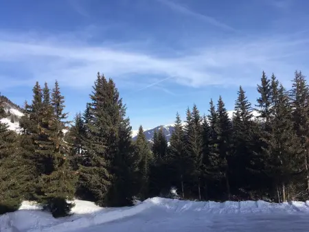 Appartement 3 pièces près des pistes - Courchevel 1850 - Photo 9