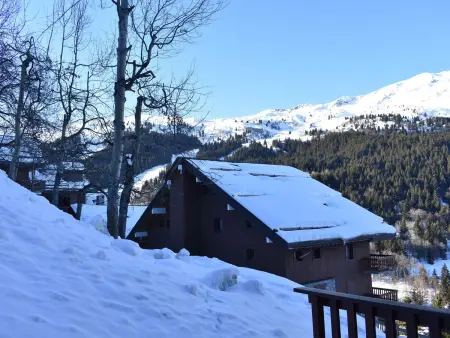 Studio confortable pour 4 pers, balcon sud, proche pistes et commerces - Méribel - Photo 6