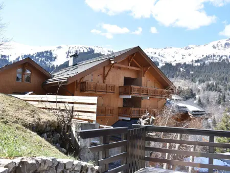 Appartement cosy avec cheminée, terrasse et parking, proche pistes et commerces - Méribel - Photo 21