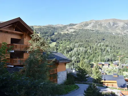 Appartement cosy avec cheminée, terrasse et parking, proche pistes et commerces - Méribel - Photo 24