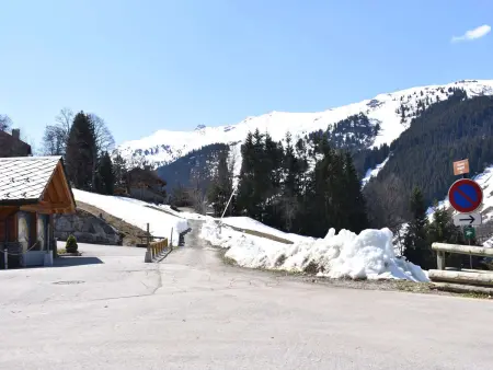 Appartement cosy avec cheminée, terrasse et parking, proche pistes et commerces - Méribel - Photo 26